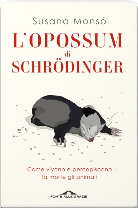 L'Opossum di Schrödinger