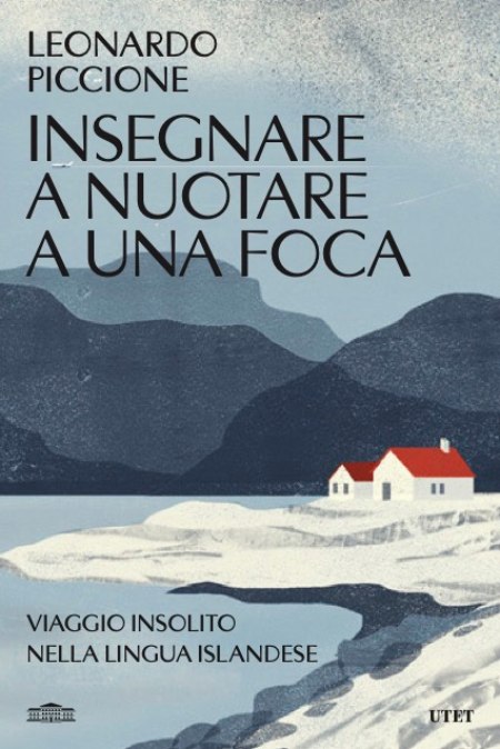 Cover of INSEGNARE A NUOTARE A UNA FOCA